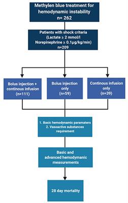 Methylene blue dosing strategies in critically ill adults with shock—A retrospective cohort study